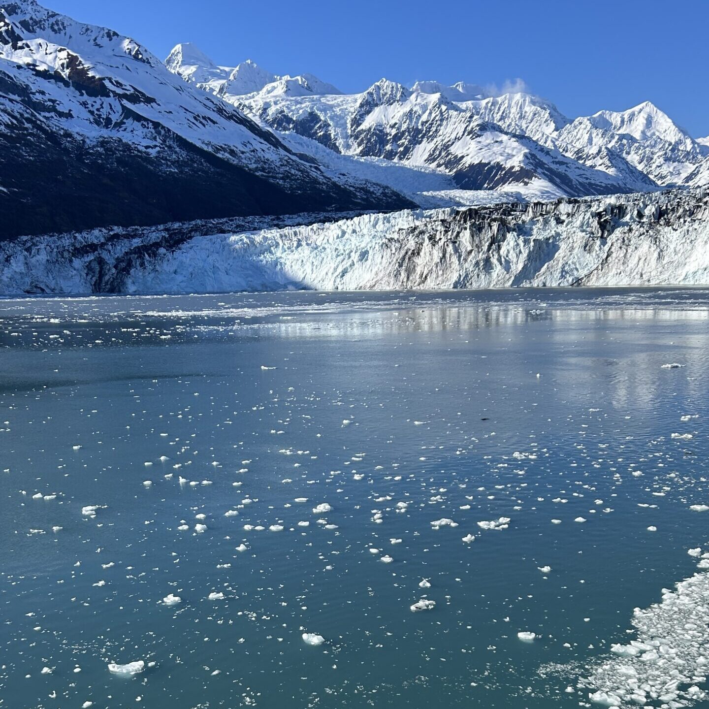 Alaska Cruises: Why February Is the Perfect Time to Start Planning