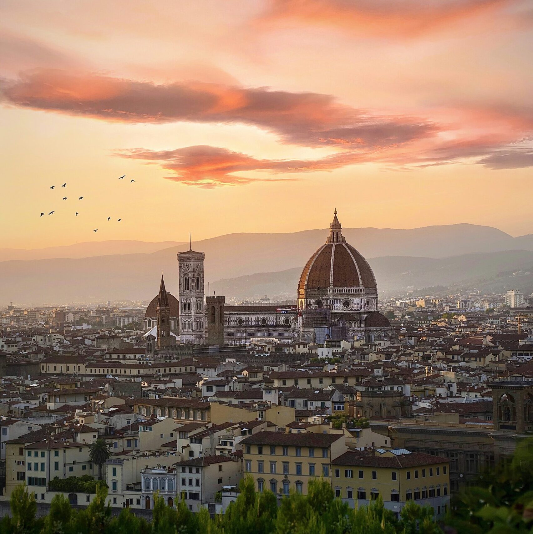 Why Customized Travel Experiences Are Worth It in 2026