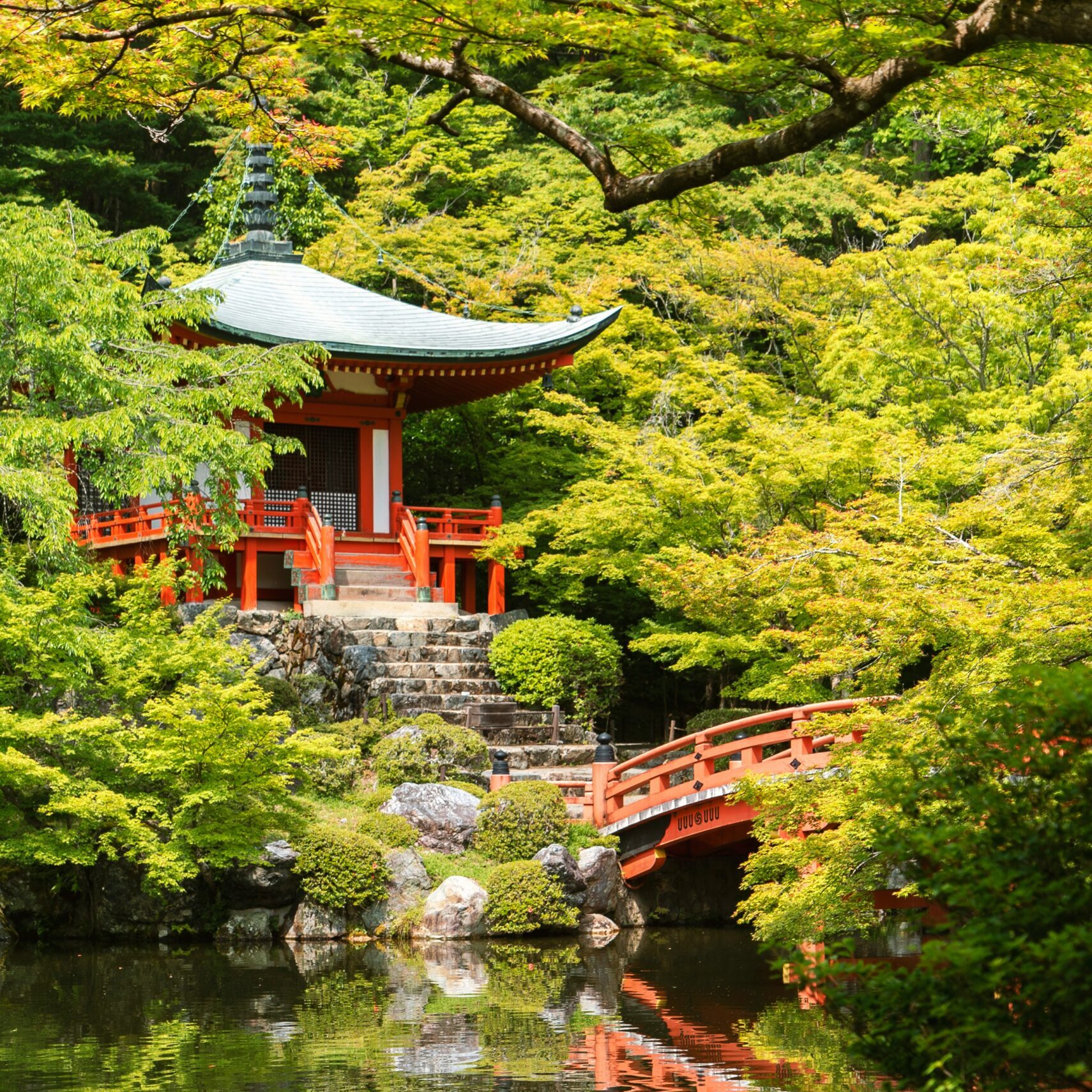 A More Thoughtful Guide to Japan