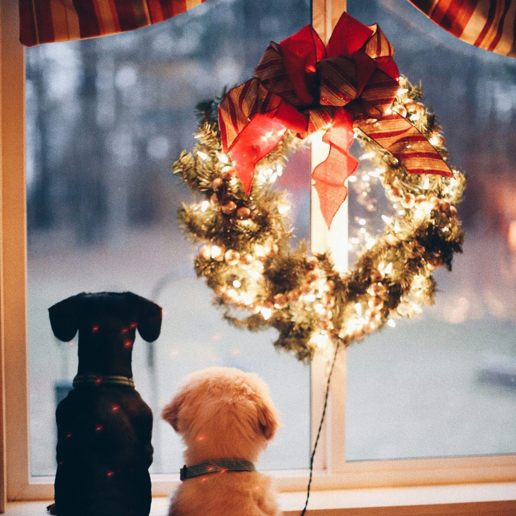 When to Book Your Holiday Travel (and Why It’s Not Too Late Yet)